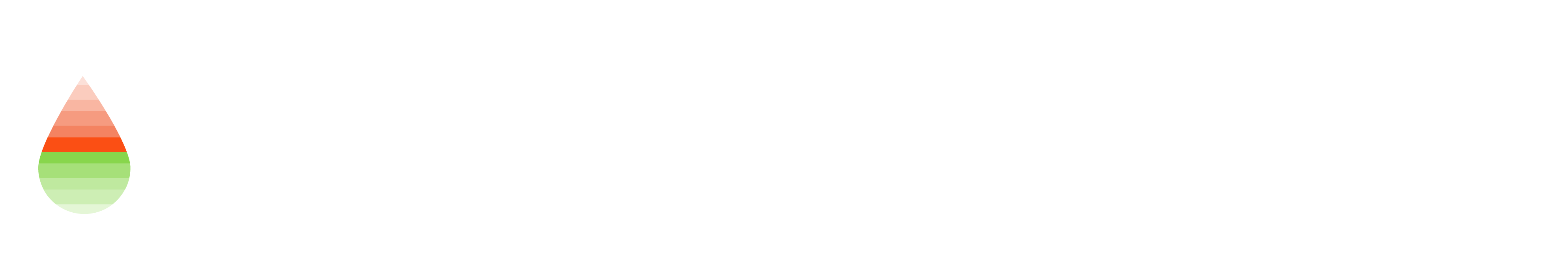 RainierRevOps_White